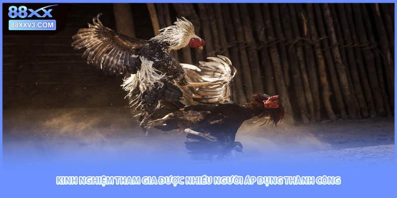 Kinh nghiệm tham gia được nhiều người áp dụng thành công
